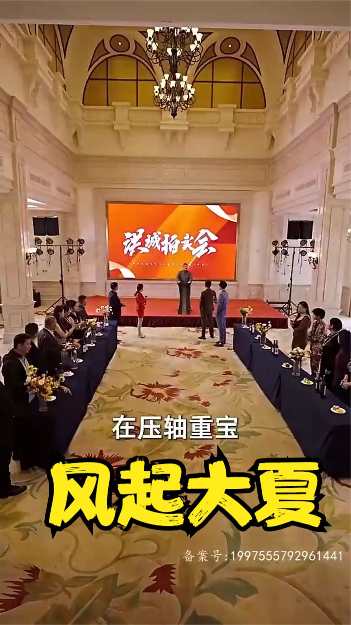 风起大夏全集
