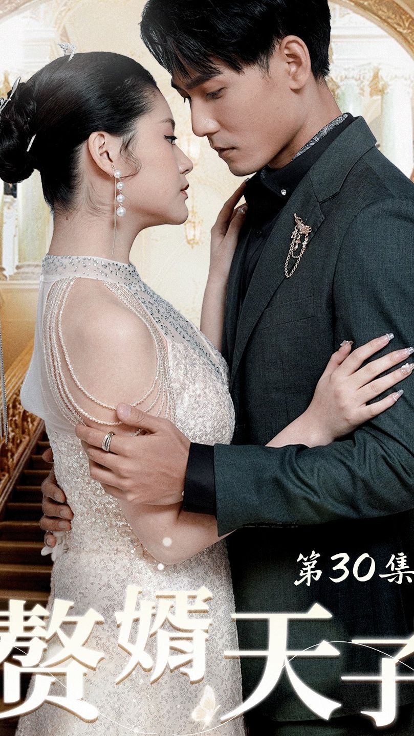 赘婿天子全集