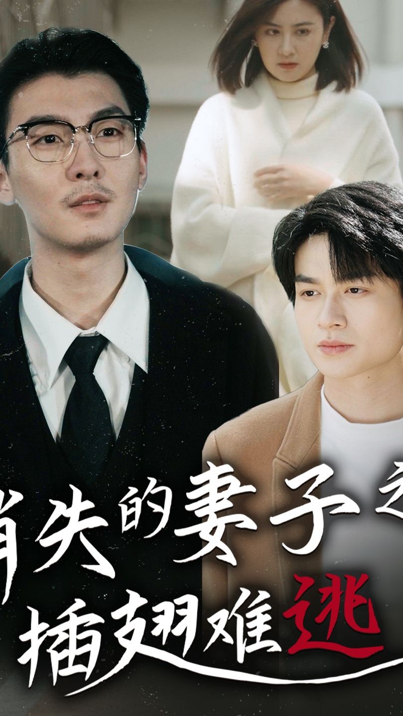 消失的妻子之插翅难逃全集