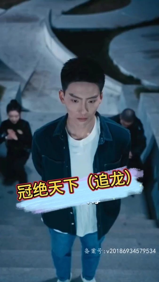 冠绝天下-追龙全集
