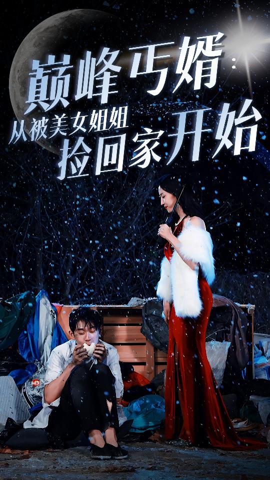 巅峰丐婿 从被美女姐姐捡回家开始全集