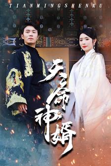 天命神婿全集