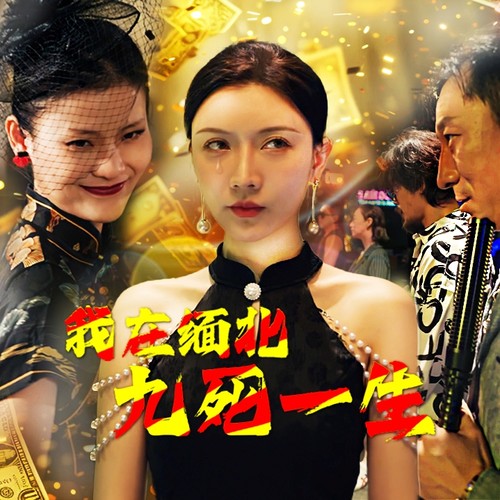 我在缅北九死一生全集