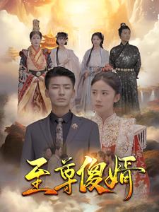 至尊傻婿全集