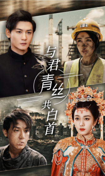 与君青丝共白首全集