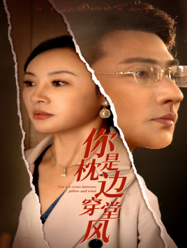 你是枕边穿堂风全集