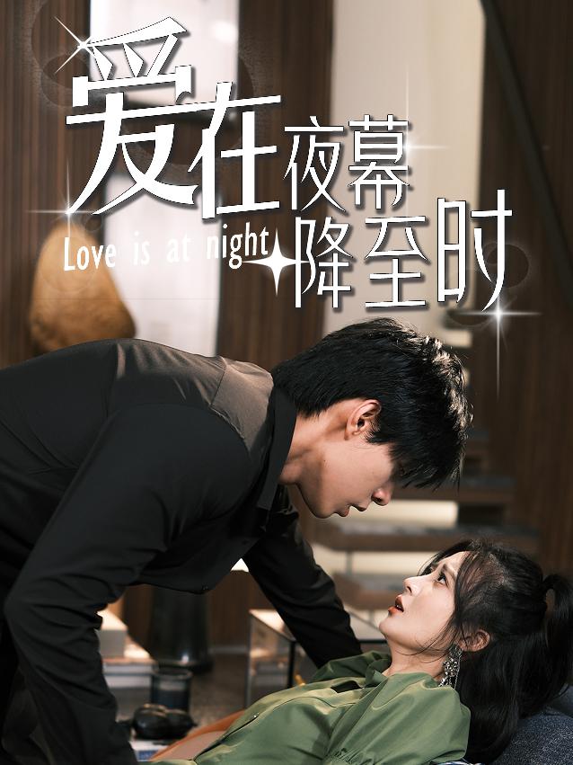 爱在夜幕降至时全集