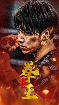 父子拳王全集
