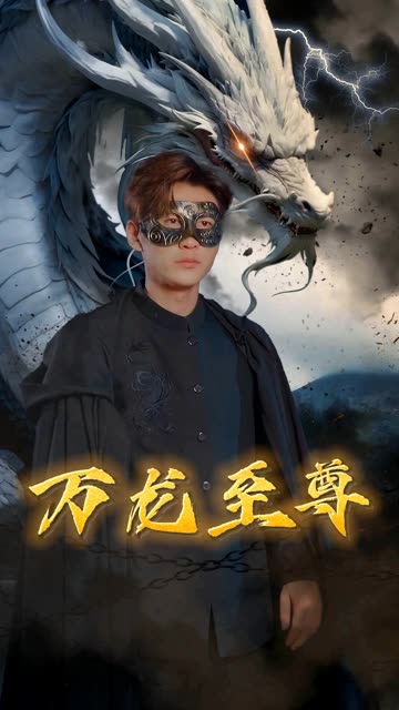 万龙至尊全集