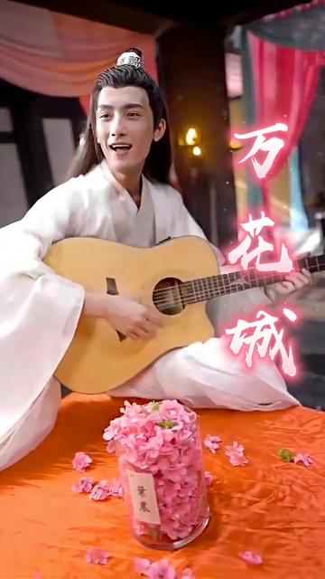 万花城全集
