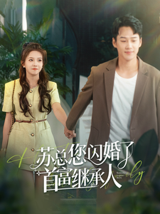 苏总您闪婚了首富继承人全集