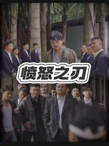 愤怒之刃全集