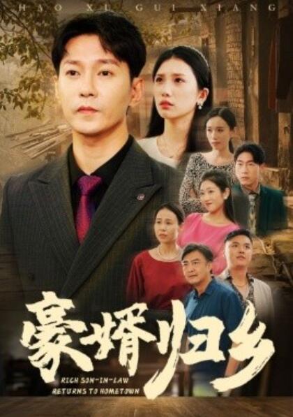 豪婚归乡全集