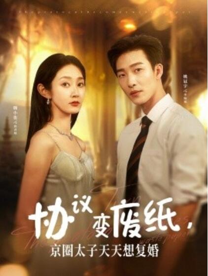 协议变废纸，京圈太子天天想复婚全集
