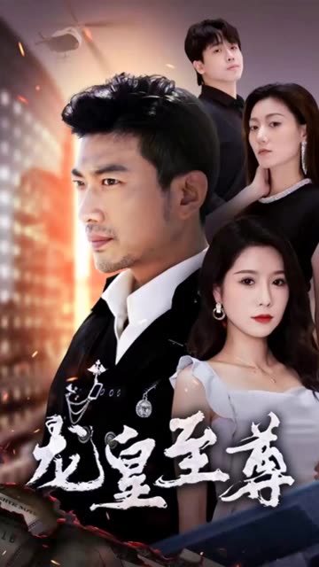 至尊龙皇全集