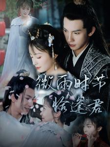 微雨时节恰逢君全集