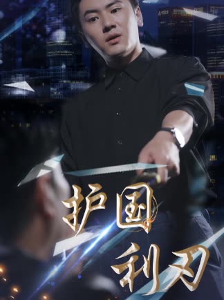 护国利刃全集