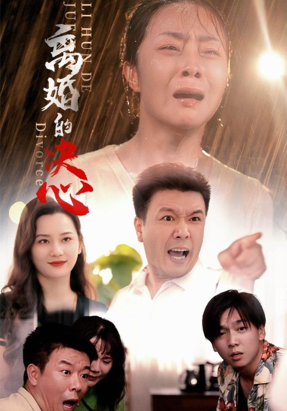 离婚的决心全集