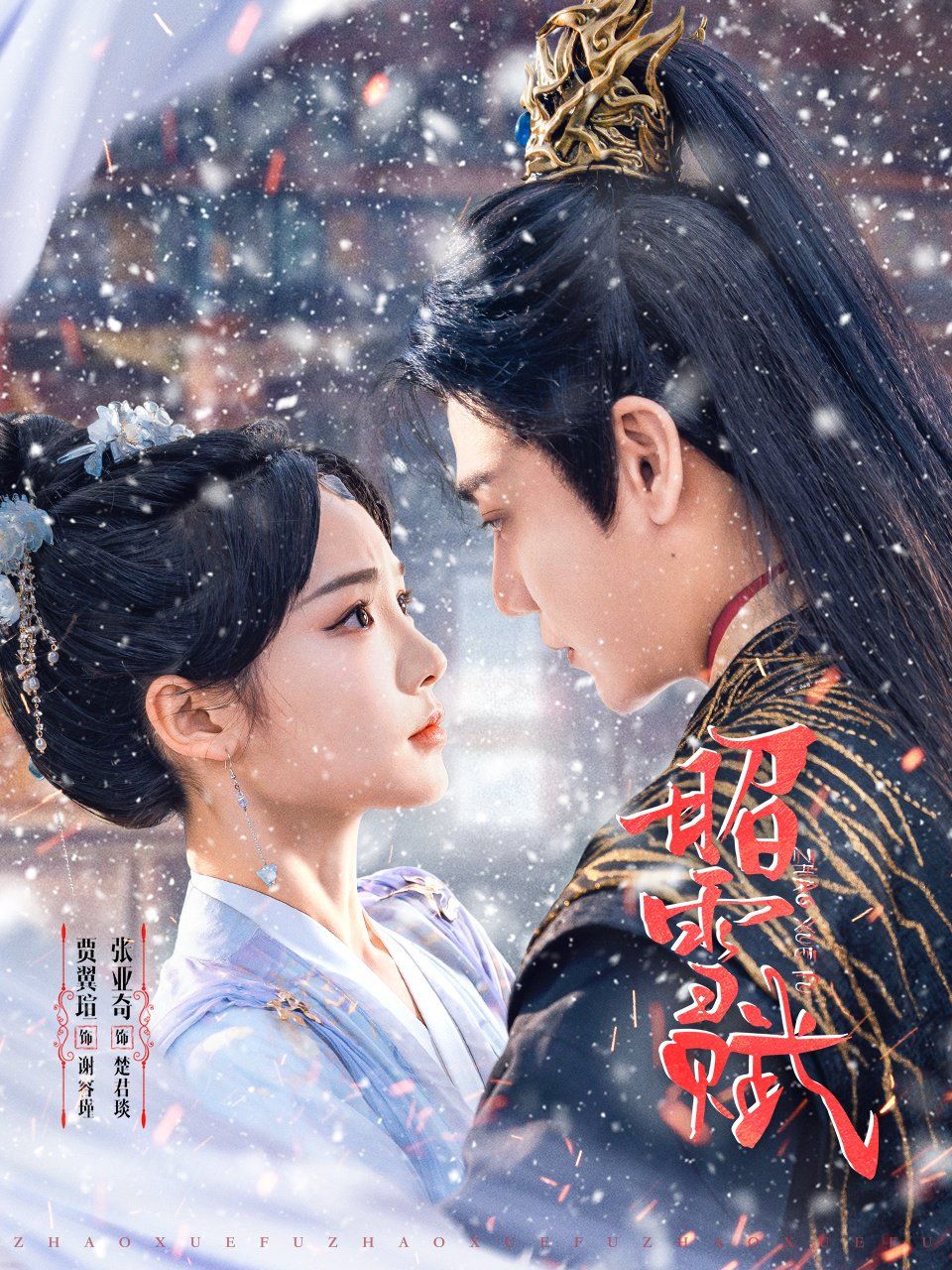 昭雪赋(全集)