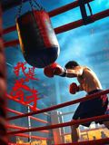 我是拳手(全集)