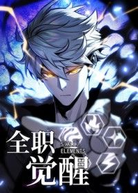 全职觉醒(全集)