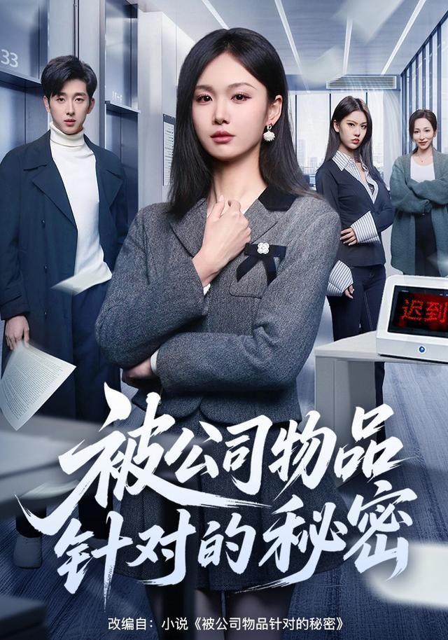 被公司物品针对的秘密(全集)